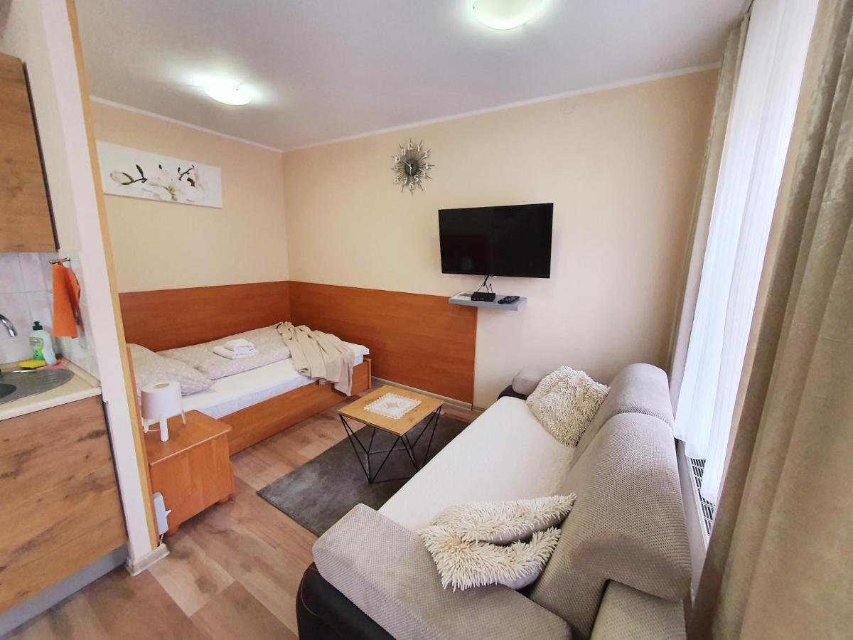 Aparthouse Apartamenty Centrum - In The City Center Near The Train Station Katowice Exteriör bild