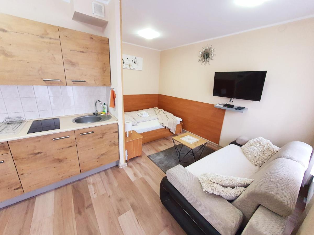 Aparthouse Apartamenty Centrum - In The City Center Near The Train Station Katowice Exteriör bild