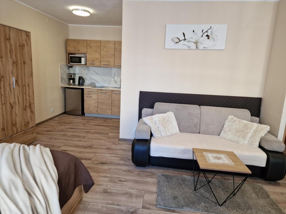 Aparthouse Apartamenty Centrum - In The City Center Near The Train Station Katowice Exteriör bild